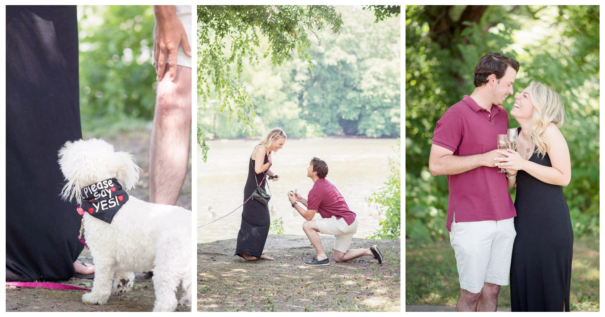 nj surprise dog puppy proposal photographer