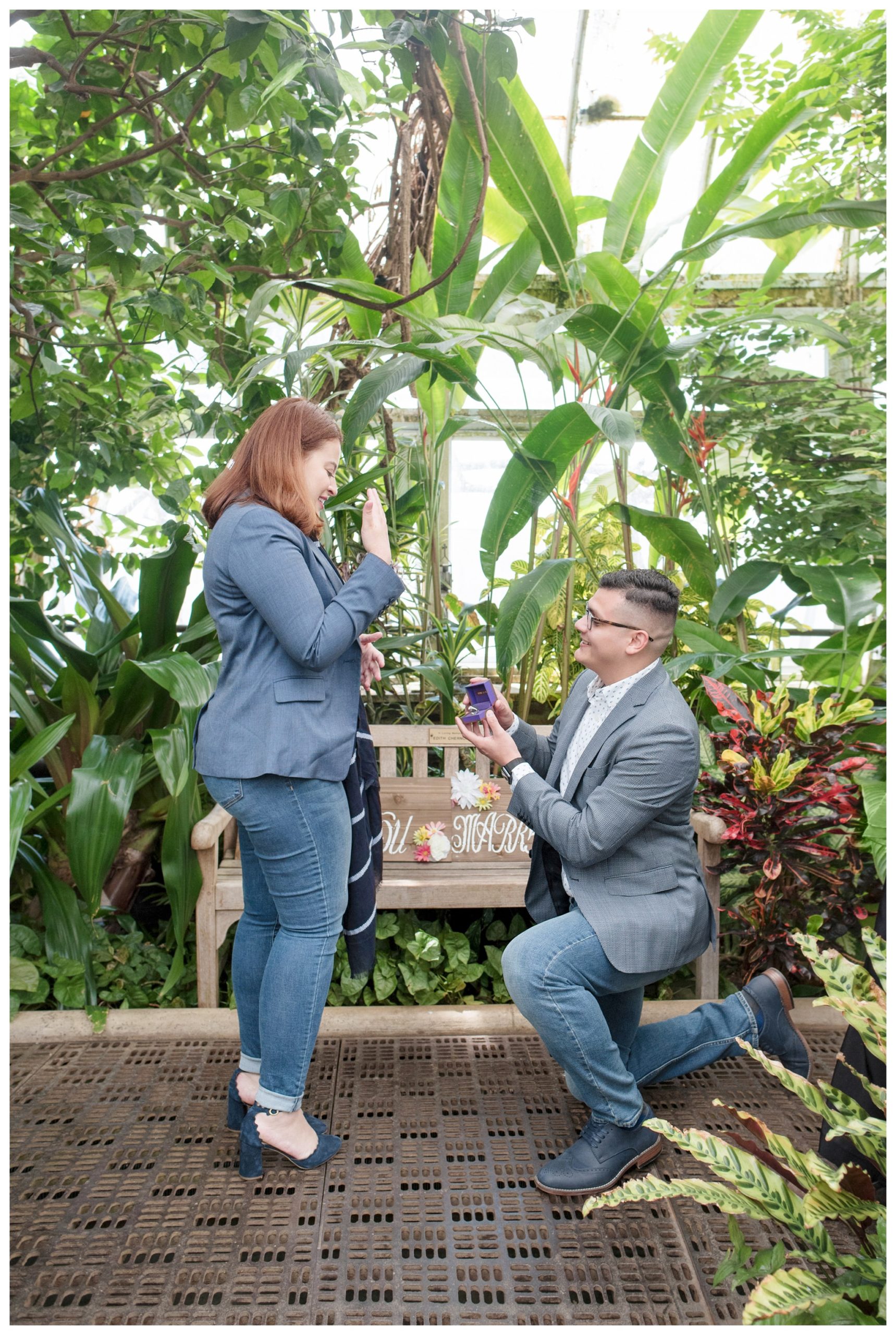 planting fields arboretum long island proposal in the greenhouse