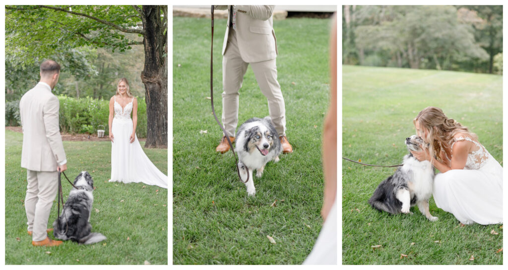 bride first look with dog