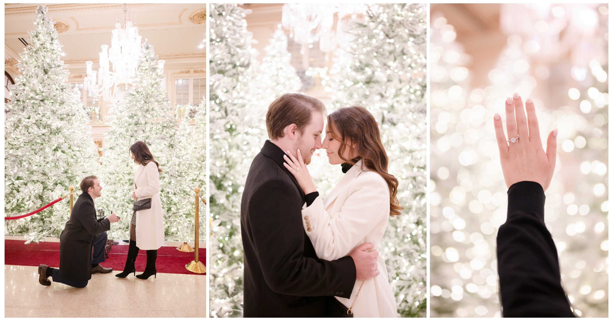christmas tree proposal at the plaza hotel in nyc